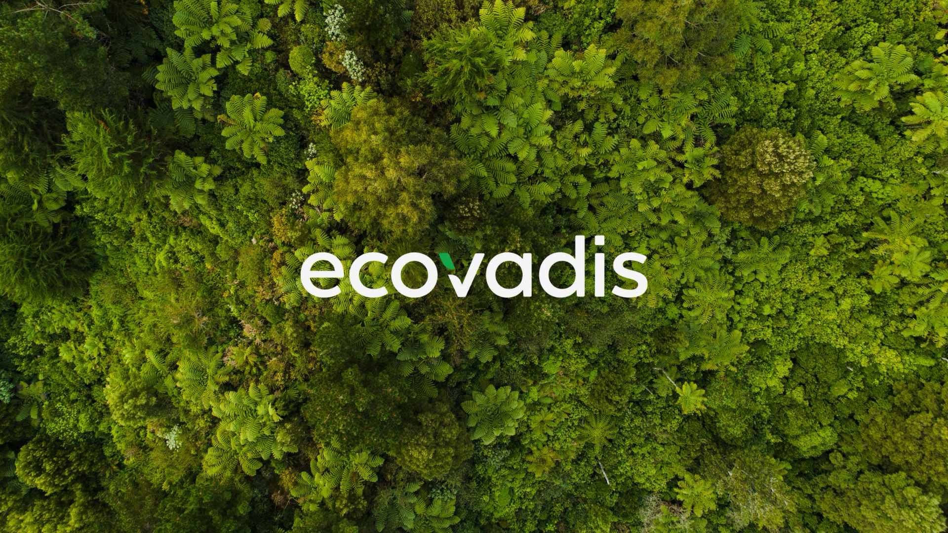 New Sustainability Award from EcoVadis